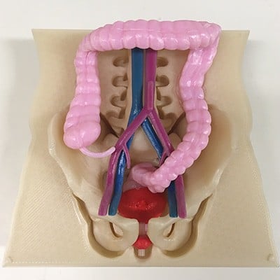 Surgical Simulation & Phantoms