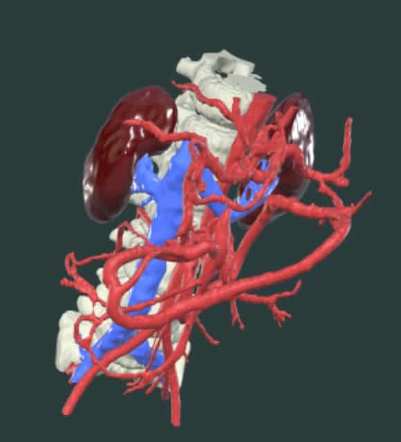 Pediatrics & Cardiology