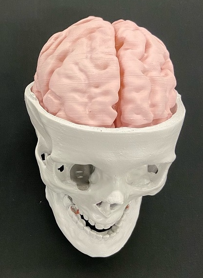 Surgical Simulation & Phantoms Surgical Simulation & Phantoms