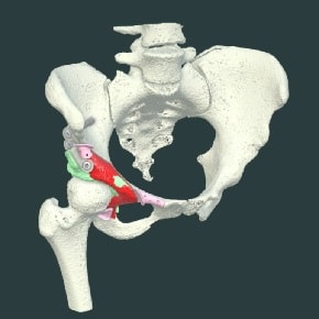 PERI-ACETABULAR